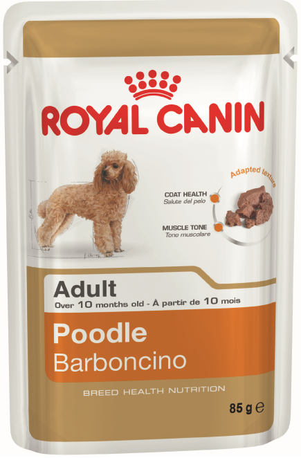 paté húmedo para caniches de Royal Canin