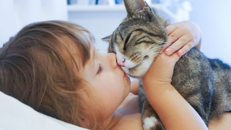 gatito y niño