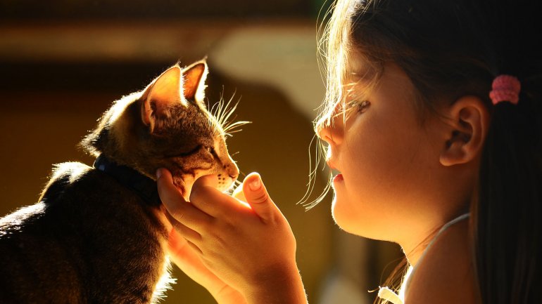 Gato y niño