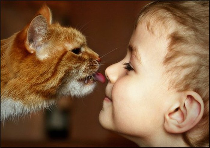 Gato y niño