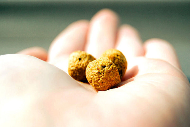 alimento para perros sin cereales