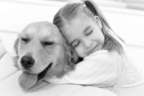 el perro siente nuestro amor
