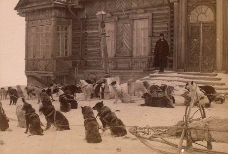 Carácter de la laika de Sajalín