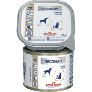 alimentos medicinales para perros de calidad premium