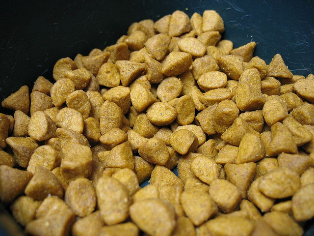Granulat von Super-Premium-Katzenfutter