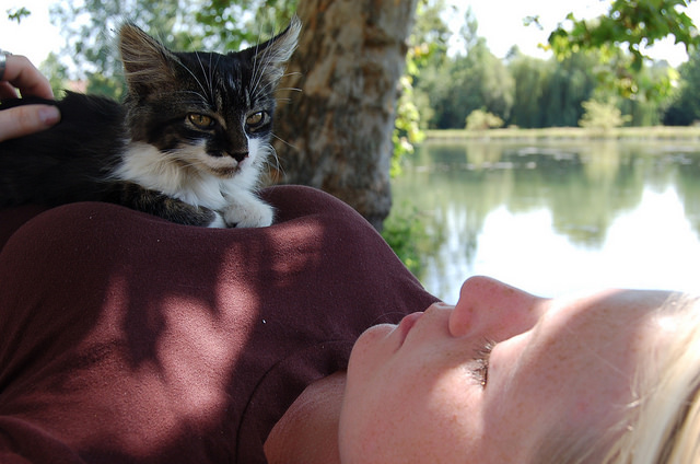 Vacaciones con mascota: ¿qué puede ser mejor?