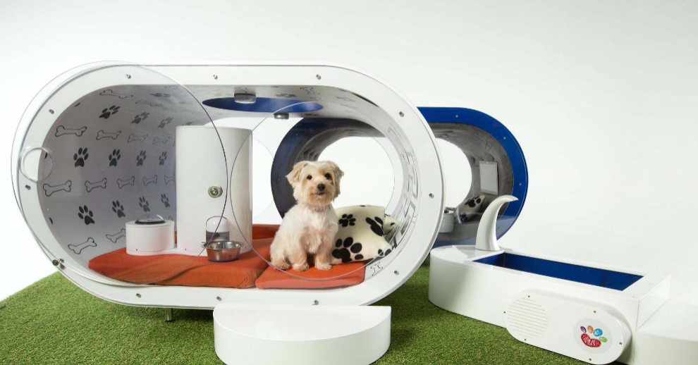 super caseta para perros