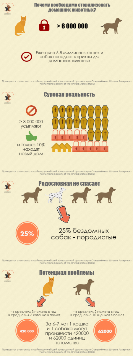 Infografía de esterilización de perros