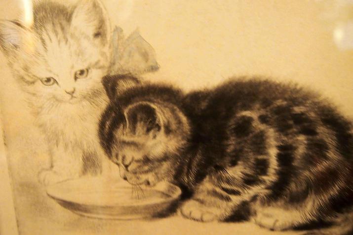 museo de gatos en Berlín