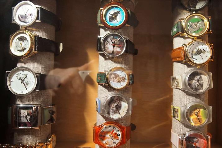 museo de gatos en Berlín