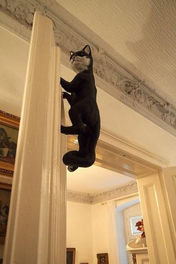 museo de gatos en Berlín