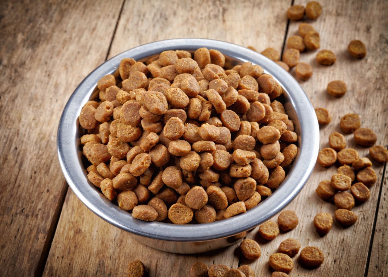 Piensos secos para gatos