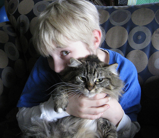 gatito y niño