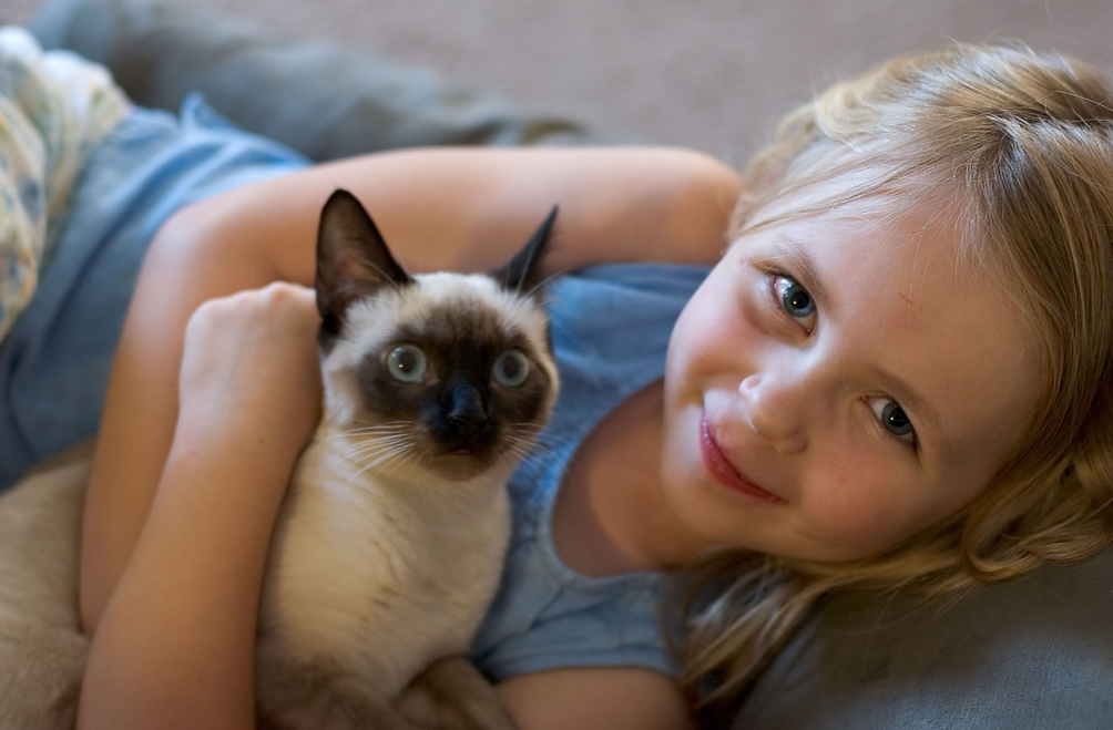gatito y niño