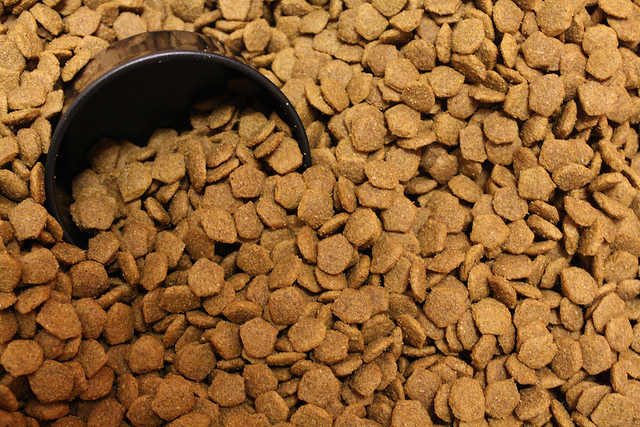 Alimento seco para perros