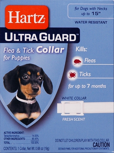 Hartz