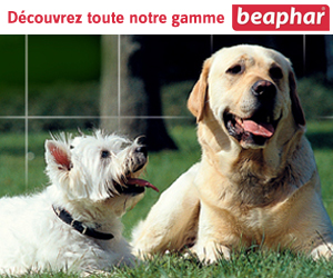 beaphar