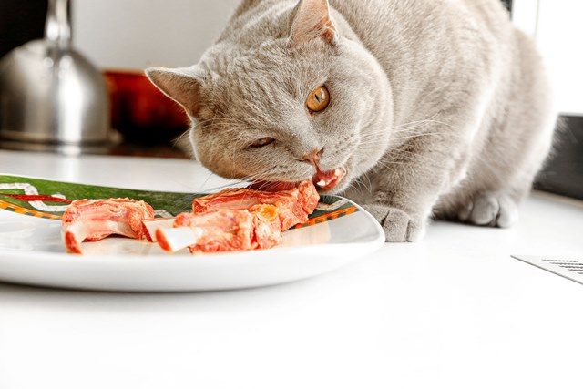 Dieta correcta para un británico