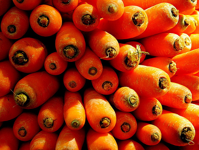fuente de provitamina A para gatos