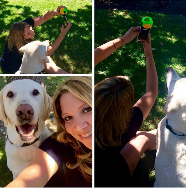 selfie para perros