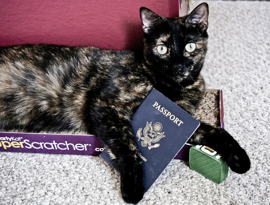Pasaporte para gato
