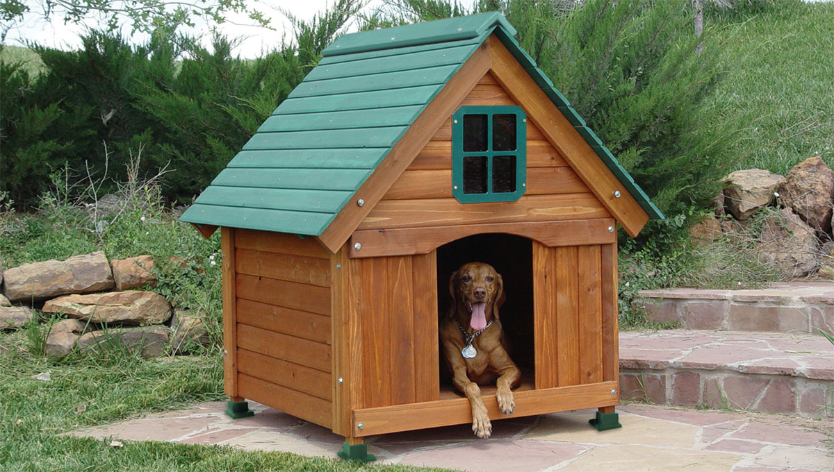 ubicación de la caseta, instalación de la caseta, caseta para perros hecha por uno mismo, aspectos de la construcción de la caseta, recomendaciones para la construcción de la caseta, casa para perro, cómo hacer una casa para perro por uno mismo