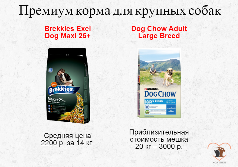 Premium-Futter für große Hunde