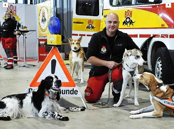 Exposición canina