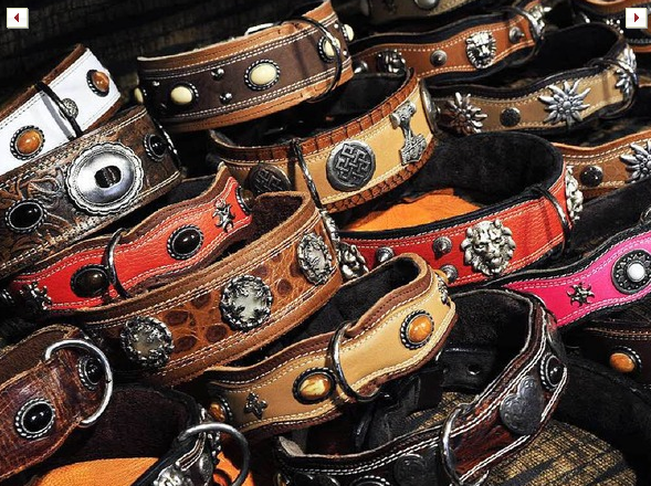 Accesorios para perros