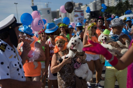 Carnaval para perros en Río foto 1
