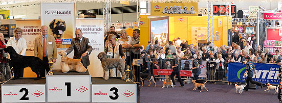 Final de la exposición Rostock 2015