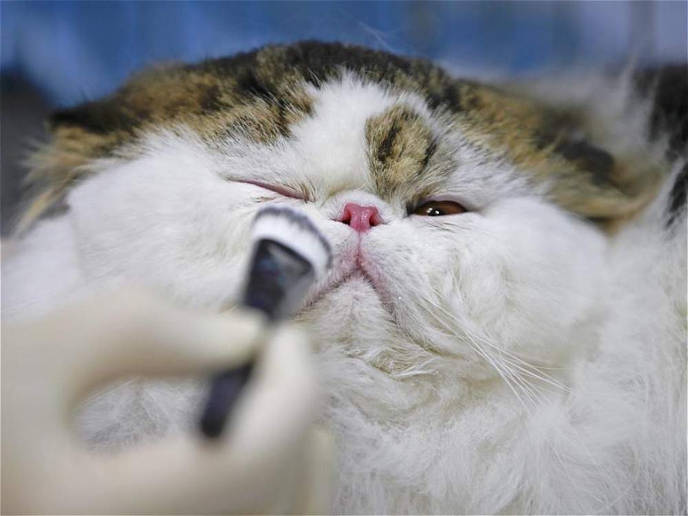 maquillaje antes de la salida