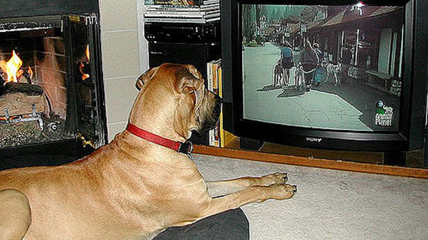 Frente al televisor