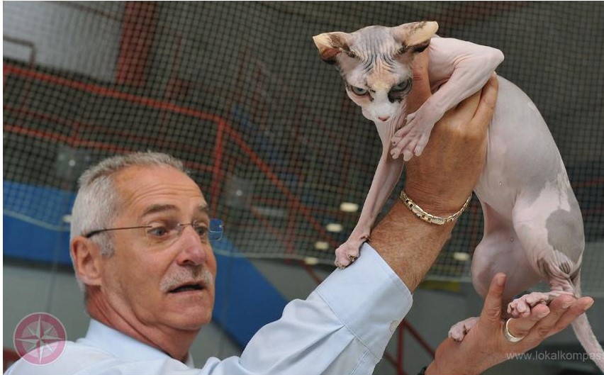 Sphynx