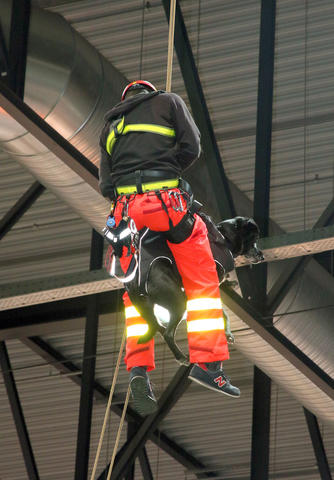 Un perro de rescate desciende con el guía