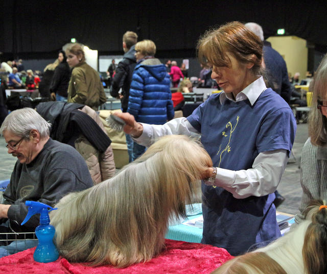 Tibetan Terrier