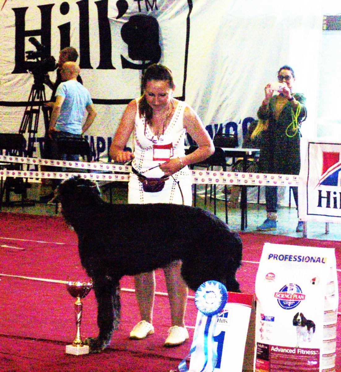 El mejor cachorro de la exposición