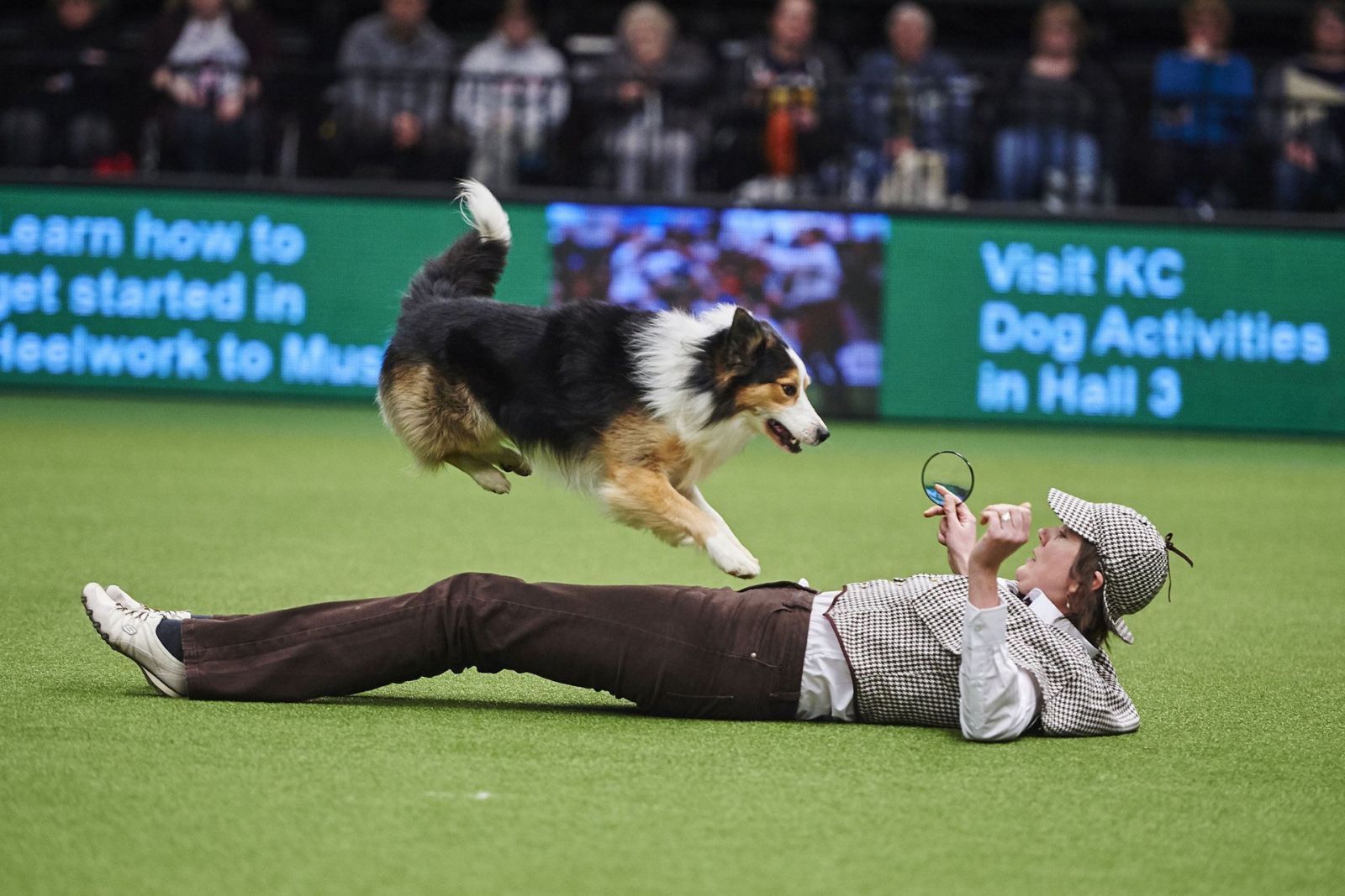 Concursos de Crufts