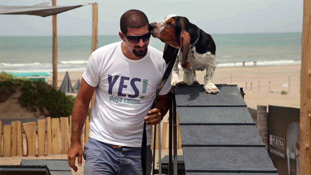 Un basset en un tobogán para perros