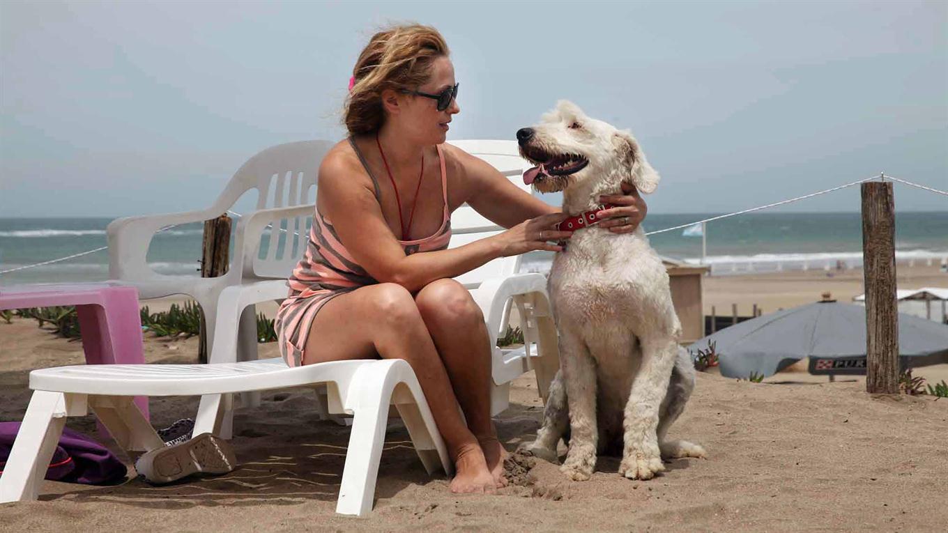 en la playa para perros