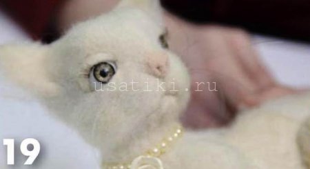 Filzen einer Katze aus Wolle