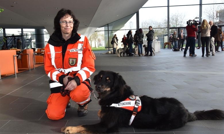 Perros de rescate en la exposición