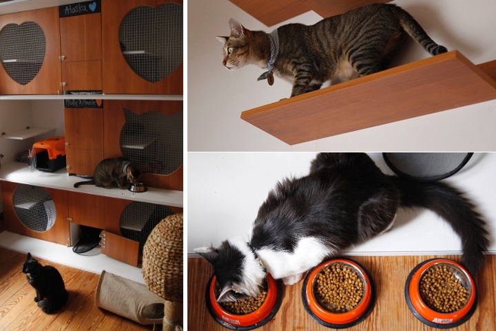 Hotel para gatos Yellow
