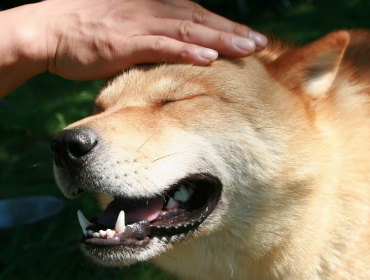 Hokkaido Ainu sonriendo