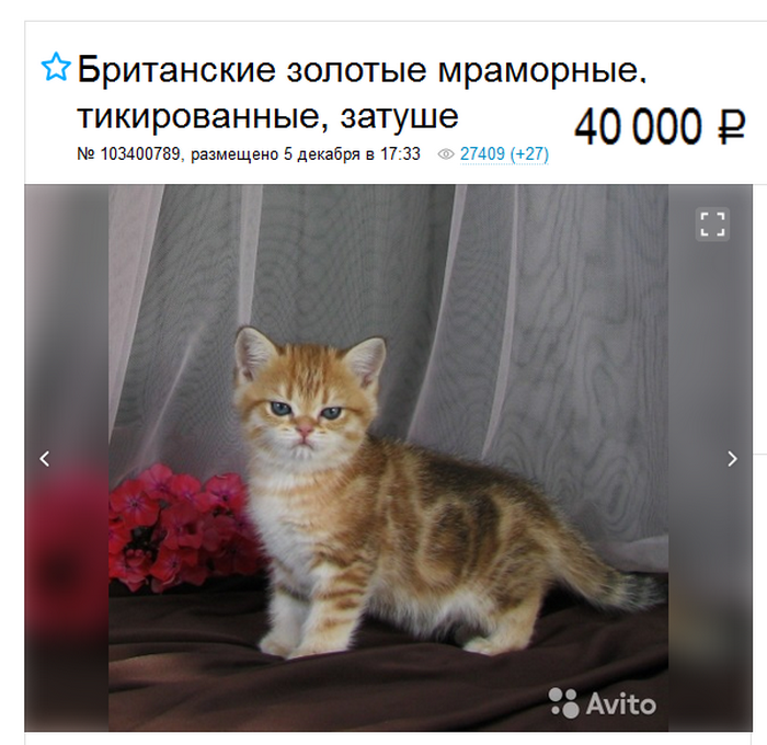 screenshot_1