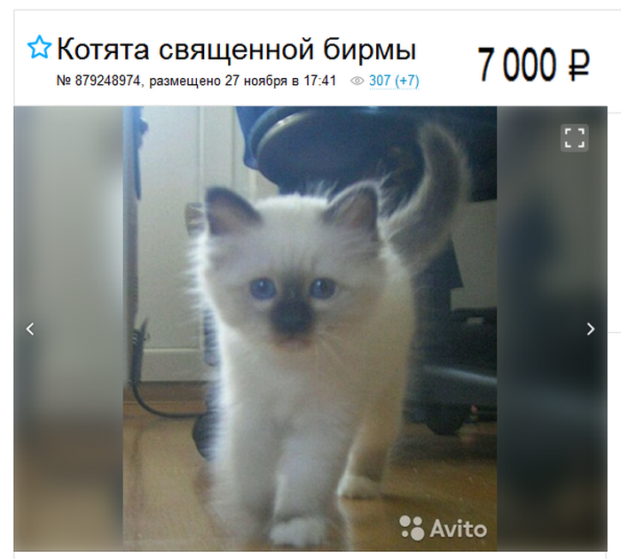 screenshot_11
