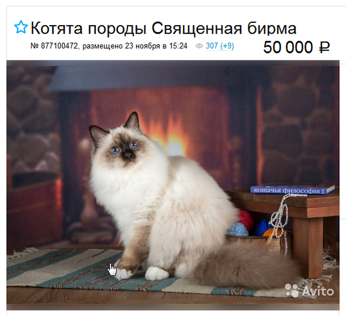 screenshot_8