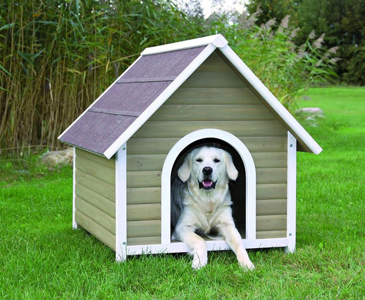 caseta para perros