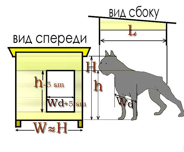 caseta para perros