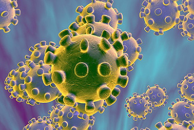 Agente causante del coronavirus en gatos